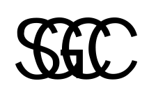 png100-t3-scale100 (10)